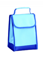 Sale online cooler bag blue insulating effect cooler bag